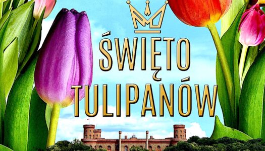Święto Tulipanów 2023 – zaproszenie do Kamieńca Ząbkowickiego